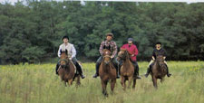 Hungary-Hungary-Somogy Naturepark Ride